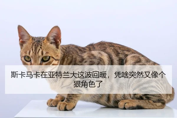 斯卡马卡在亚特兰大这波回暖，凭啥突然又像个狠角色了